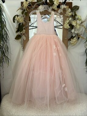 Dollcake Blush Pink Tulle Ball Gown for Girls